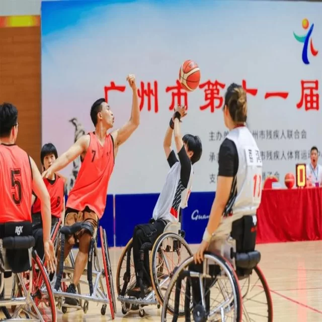 乒乓球冠军竞争格局中的数据视角深度解析